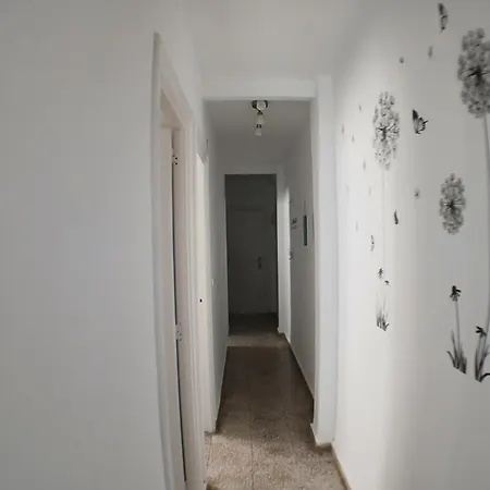 Relax Compartido Αλικάντε